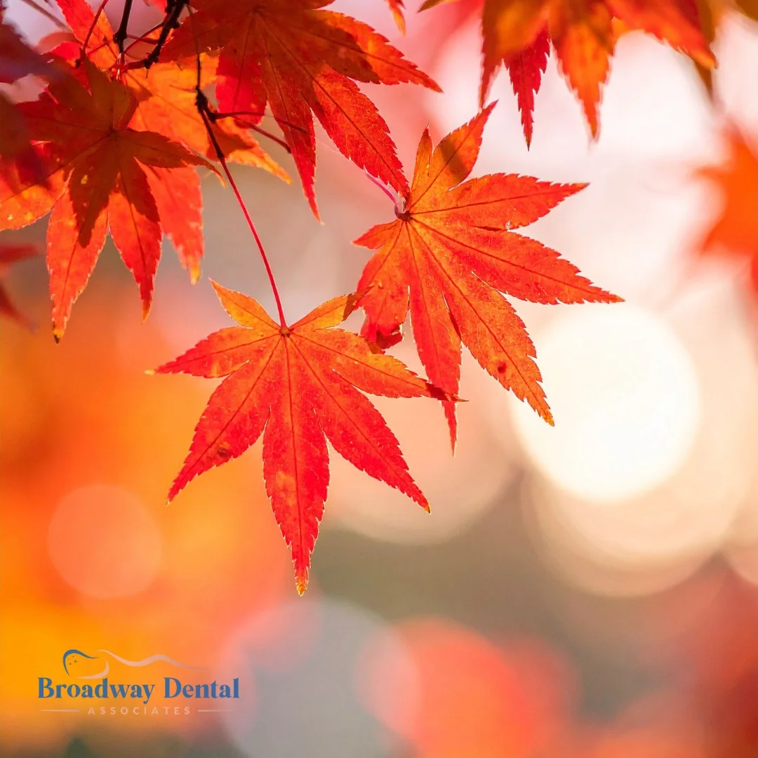 Vibrant red maple leaves in sunlight and Broadway Dental Associates logo in the bottom left of the image.
